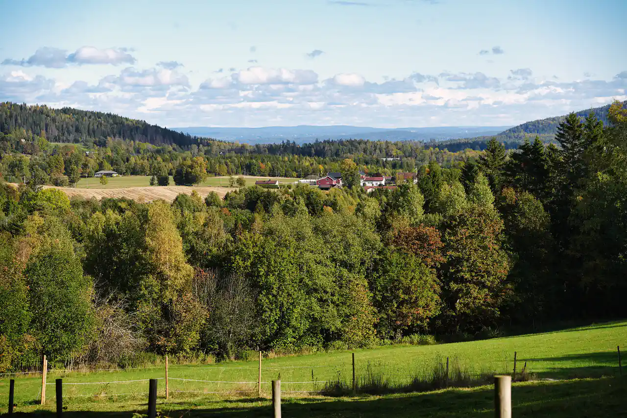 Lierskogen i Lier en sensommerdag